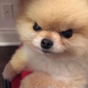 Meet your Posher, Jeffrey